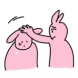 사빛11