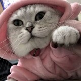 dooouok