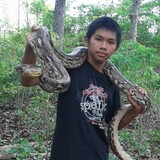 Rizal Reptil Mania