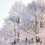 di___ieganchi