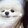 liz--lizi
