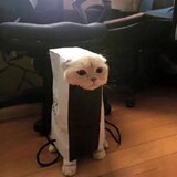 di___idengluyueqiuww