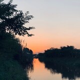 Wildlore10