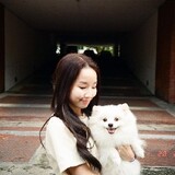 bili_1152271082