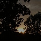 bili_1683128967