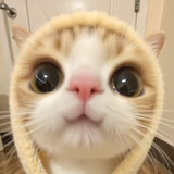 dapangju___lele