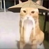 huanyingwanmc