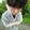 tsuse_02_01