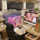 みなとにねこがいる