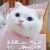 xuanxuanjianjihuguan