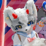 micishizhixiaogoubao