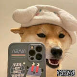 stonermoonbear_05