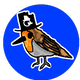 creator avatar