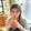 zzxinxinzi-