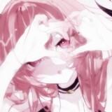 클라레사꽃