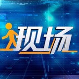 xianchangzaixingdong