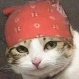 zaixiazhangdarkmiao