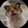 ウリfang