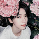 xiaoxiannvyaokaixins