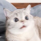 c_____gdamowang