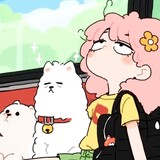 chengzizhuijuzhong-