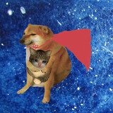 xiugougouhe______tou