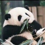 xiaoshiqing