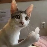 嘉漢
