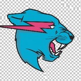 Mr Beast Prime