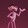 pinkpanter02