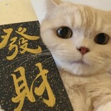 youximiaomi
