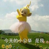 -suancaomei-
