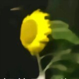 yihenendoufu