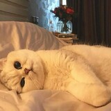 carrot_gardens_02_03