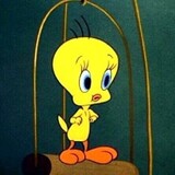 lilylzzz-