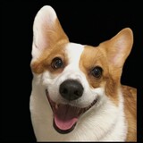 yin___hangchangzhang