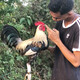 creator avatar