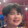 ไม่รู้ชื่อแมวไหน