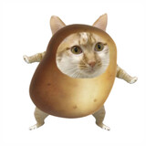 tudou___i