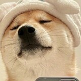 cangaomenglan