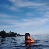 Norh's