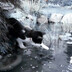 ice-whimsy