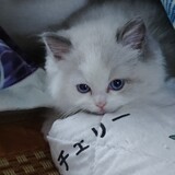 itshuaixu