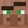 vam__