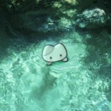 yunyufufu