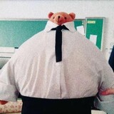 shahuhudefannaoxiong