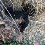 renshengdewojiushini