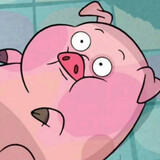 pinkpigzhuzhu