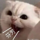 wuaiweizhi