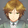 NnWTลงไปเรื่อย